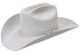 Luskey's/Ryon's Roper Western Hat