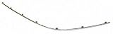 02-04 MERCEDES BENZ C32 c-32 FRONT BUMPER MOLDING LH (DRIVER SIDE), Outer Impact Strip, Chrome, (203) Chassis (2002 02 2003 03 2004 04) M016110 2038850774