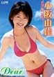 小阪由佳 Dear [DVD]