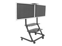Lg Flat Screen Dual Presenters
