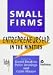 Small Firms: Entrepreneurship in the Nineties (Institute of Small Business Affairs)