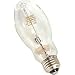 100 Watt Standard MH bulb
