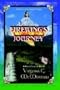 Firewing's Journey