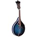 M1SDL Mandolin (Trans Blue)