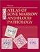 Atlas of Bone Marrow and Blood Pathology: A Volume in the Atlases in Diagnostic Surgical Pathology Series (Atlases in  Diagnostic Surgical Pathology)