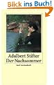 Der Nachsommer: Mit einem Nachwort von Ludwig Harig (insel taschenbuch)