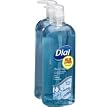 Dial Antibacterial 35 fl oz Body Wash Spring Water - 2-Pack