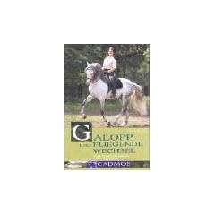 Galopp und fliegende Wechsel: Vom Grundgalopp zu Einerwechseln
