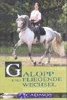 Galopp und fliegende Wechsel: Vom Grundgalopp zu Einerwechseln