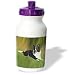 Dogs Border Collie - Border Collie - Water Bottles