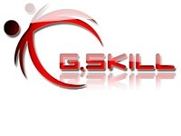 G.Skill 2GBSk PC 667 CL5 Arbeitsspeicher 2GB (667 Mhz, 200-Polig, 2x 1GB) SO DDR2-RAM Kit