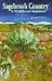 Sagebrush Country: A Wildflower Sanctuary