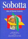 Atlas of Human Anatomy: Thorax, Abdomen, Pelvis, Lower Limbs v. 2 (12th Eng ed. Vol 2)