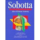 Sobotta Atlas of Human Anatomy: Thorax, Abdomen, Pelvis, Lower Limb (12th Eng ed. Vol 2) by  R. Putz, R. Pabst, Johannes Sobotta, and Anna N. Taylor