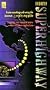 Information Superhighway:Internet [VHS]