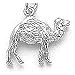Camel Charm