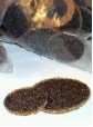 3 inch Surface Prep Discs-Rollocks - Medium (25/Pk)