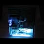 Cables To Go 14IN COLD CATHODE LIGHT ( 29420 )