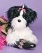 shih tzu - Shih Tzu Stuffed Animal Plush Dog by Douglas