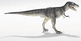 Carnegie Collection-  Albertosaurus
