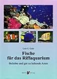 Fische fr das Riffaquarium: Beliebte und gut zu haltende Arten
