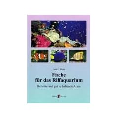 Fische f�r das Riffaquarium. Beliebte und gut zu haltende Arten