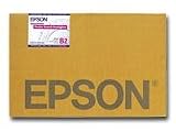 Epson Professional Media - Semi-gloss poster board - B2 (500 x 707 mm) - 840 g/m2 - 10 pcs.