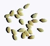 Review Whole Spice  / Sesame Seed - White