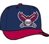 Minor League Baseball Cap - Orem Owlz Batting Practice Cap by New Era
