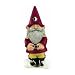 Florida State University Garden Gnome