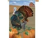 Turkey Run