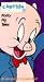 Porky Pig Tales