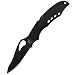Spyderco BY03BKPS Cara Cara, Black Stainless Handle &amp; Blade, ComboEdge