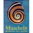 Muscheln, Sch�tze der Meere von Leonard Hill