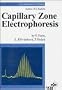 Capillary Zone Electrophoresis
