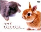 『ウサギぴょんぴょん 2005年 カレンダー』の写真