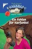 Ein Fohlen f&uuml;r Karfunkel - Pferde-Internat Rosenberg - Dagmar Ho&szlig;feld