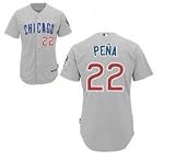 Carlos Pena Jerseys Chicago Cubs #22 Carlos Pena Grey Jerseys (XXL/54)
