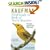 Kaufman Field Guide to Birds of North America