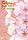 �݂�Ȃ̂��� �޽�˯ĥ�ڸ��� [DVD]