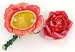 Piearth sA[X WG[{bNX NX^ Δ t[ o [Y NO219 bh 219-2 RD