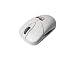 Trust Computer Trust Ami Maus Wireless Scroll - Excellence Series Maus schnurlos 4 Tasten 800dpi + Tastenrad weiß