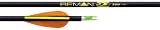 BEMAN 9.3 TARGET ARROW SHAFTS -- PACK OF 12Size: 400