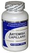 Artemisia Capillaris (100 Capsules) Concentrated Herbal Extract - Dietary Supplement