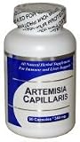 Artemisia Capillaris (100 Capsules) Concentrated Herbal Extract - Dietary Supplement