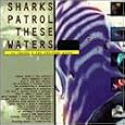Sharks Patrol These Waters