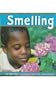 Smelling (The Senses) (Pebble Books)