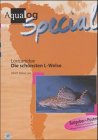 Aqualog, Die sch�nsten L-Welse