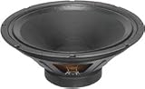 SoundTech 15 Speaker 100W