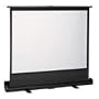 Epson Propjector Screen Pull Down 83.6" Hanging